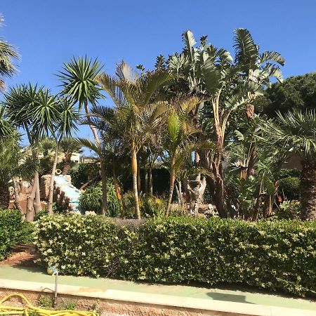 圣维托罗卡波Le Palme Tropicali公寓 外观 照片