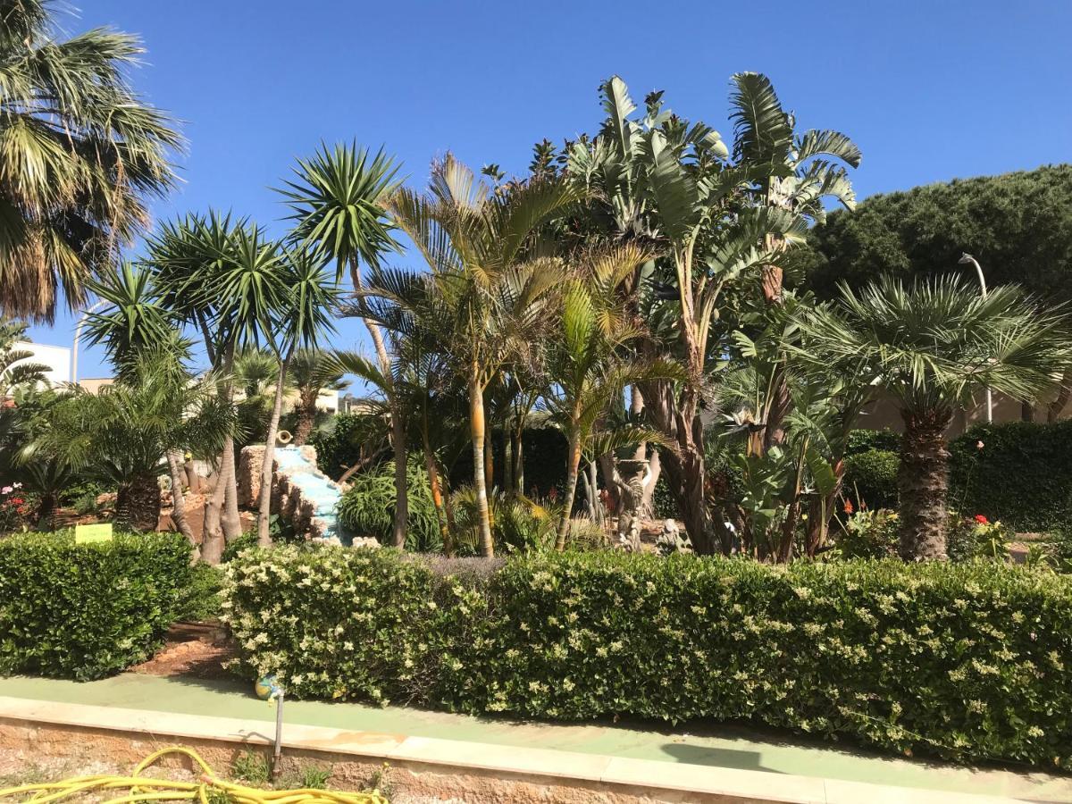 圣维托罗卡波Le Palme Tropicali公寓 外观 照片